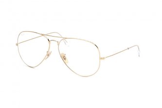 Ray-Ban Evolve (4 .)