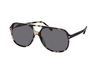 Ray-Ban Bill (5 .)