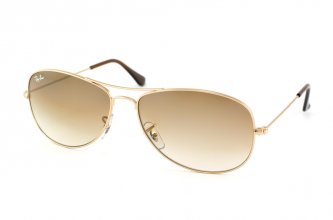 Ray-Ban Cockpit (2 ��.)