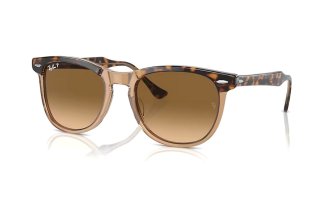 Ray-Ban Eagle Eye (3 .)