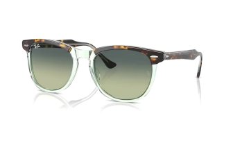 Ray-Ban Eagle Eye (2 ��.)