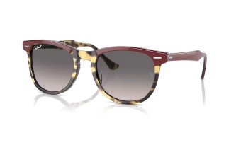 Ray-Ban Eagle Eye (3 ��.)