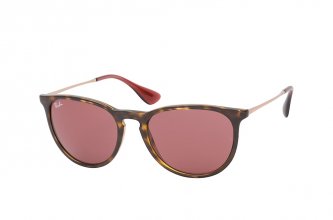 Ray-Ban Erika (20 ��.)