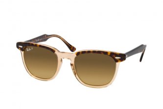 Ray-Ban Hawkeye (5 ��.)