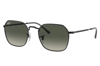 Ray-Ban Jim (6 .)