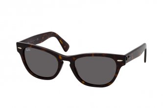 Ray-Ban Laramie (1 .)