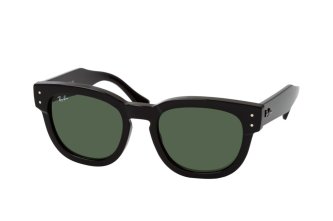 Ray-Ban Hawkeye (4 .)