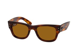 Ray-Ban Mega (12 .)