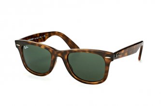 Ray-Ban Wayfarer (74 ��.)