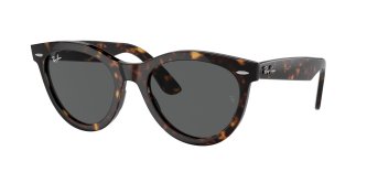 Ray-Ban Oval (10 .)