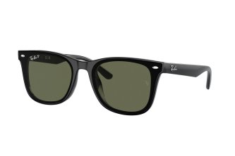 Ray-Ban Wayfarer (66 .)