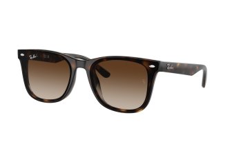 Ray-Ban Wayfarer (55 ��.)