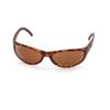   Ray-Ban Shot RB4029-642S-47 Matt Havana | Natural Brown Polarized