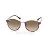   Ray-Ban Round II LightRay RB4242-6201-13 Brown| APX Brown Gradient