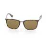   Ray-Ban Highstreet RB4303-710-83 Havana / Brown | Brown Polarized