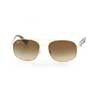   Ray-Ban Active Lifestyle RB3593-001-13 Arista | Gradient Brown