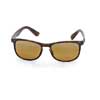 Sunglasses Ray-Ban Chromance RB4263-894-A3 Havana | Brown Chromance Polarized