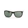   Ray-Ban Highstreet RB4307-601-71 Black | Green / Grey