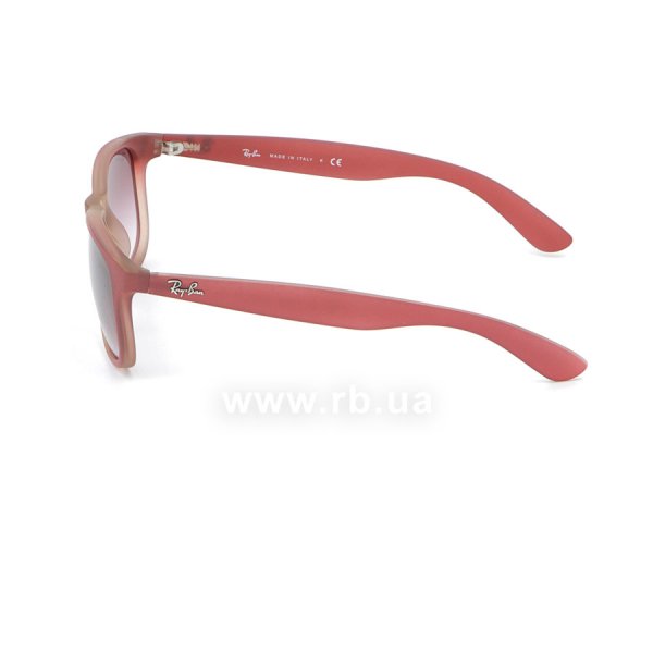   Ray-Ban Andy RB4202-6369-8H Transparent Light Vinous | Faded Violet,  