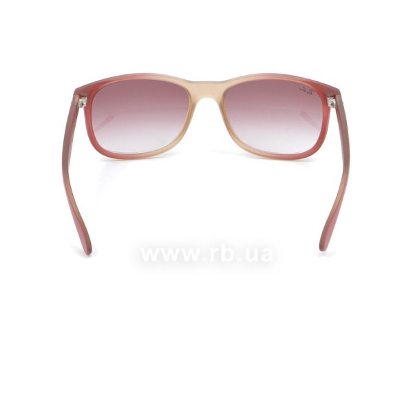   Ray-Ban Andy RB4202-6369-8H Transparent Light Vinous | Faded Violet,  