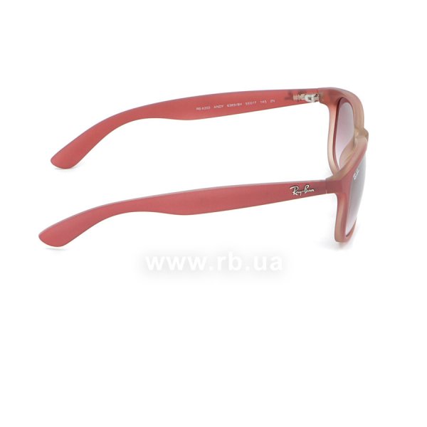   Ray-Ban Andy RB4202-6369-8H Transparent Light Vinous | Faded Violet,  