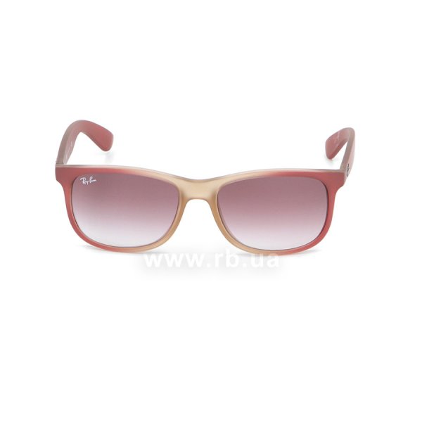   Ray-Ban Andy RB4202-6369-8H Transparent Light Vinous | Faded Violet,  