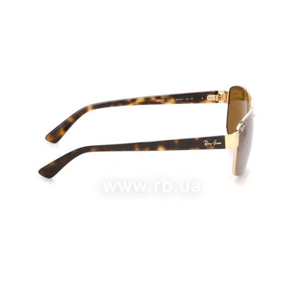   Ray-Ban Active Lifestyle RB3663-001-57 Arista / Black  | Brown Polarized,  