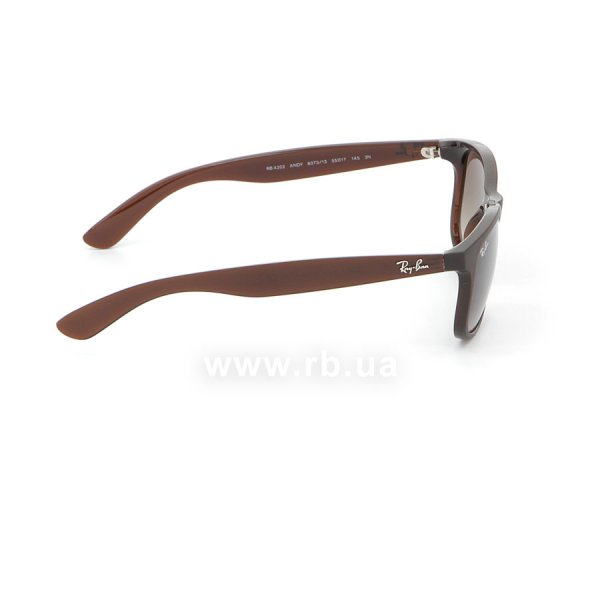   Ray-Ban Andy RB4202-6073-13 Brown | Gradient Brown,  