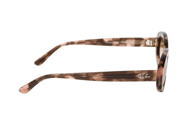 ������������ ������� Ray-Ban Highstreet RB2223-1449-51 Color