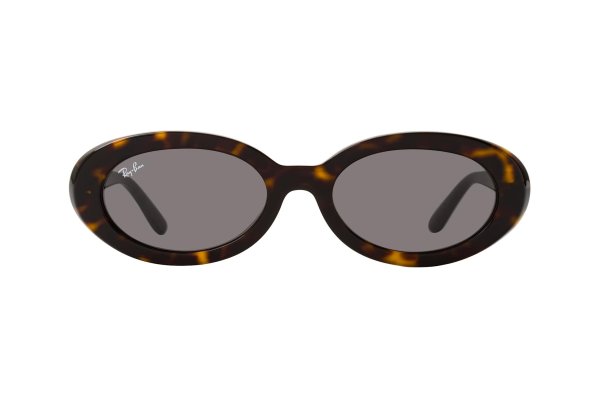 Sunglasses Ray-Ban Highstreet RB2223-902-B1 Havana | Black