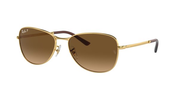   Ray-Ban Active Lifestyle RB3733-001-M2 Arista | Brown Polarized
