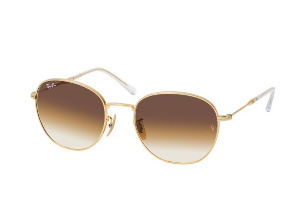   Ray-Ban Active Lifestyle RB3809-001-51 Arista | Brown Gradient