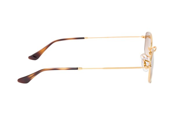 ������������ ������� Ray-Ban Active Lifestyle RB3832-001-51 Arista | Light Brown Gradient