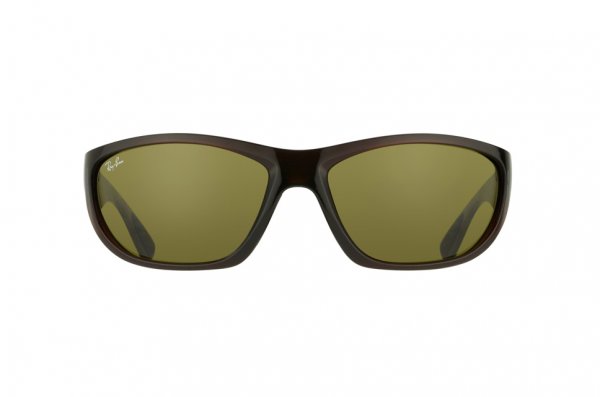   Ray-Ban Active Lifestyle RB4188-6007-73 Black / Poly. Brown