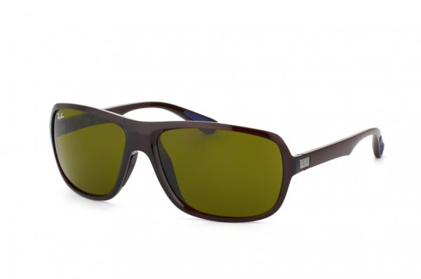   Ray-Ban Active Lifestyle RB4192-714-73 Brown Transparent | Brown