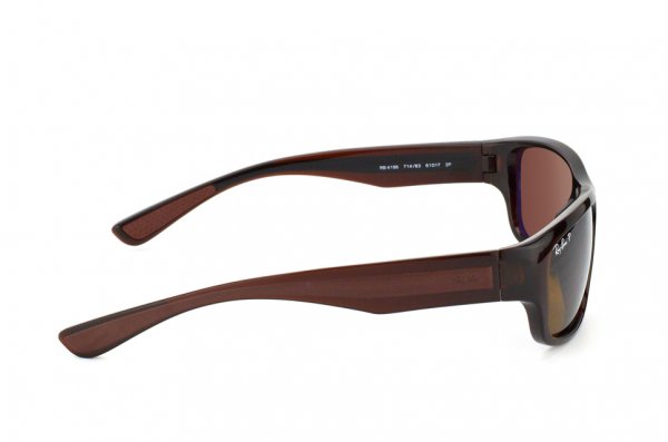   Ray-Ban Active Lifestyle RB4196-714-83 Brown Transparent | Poly. Brown Polarized P3
