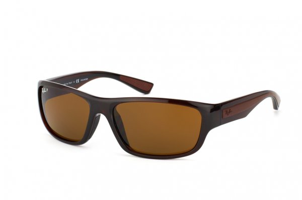   Ray-Ban Active Lifestyle RB4196-714-83 Brown Transparent | Poly. Brown Polarized P3
