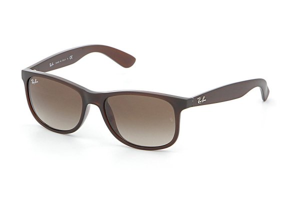 RB4202 6073/13 Ray-Ban Andy