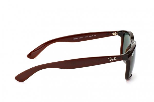   Ray-Ban Andy RB4202-714-71 Dark Brown | Green/Grey