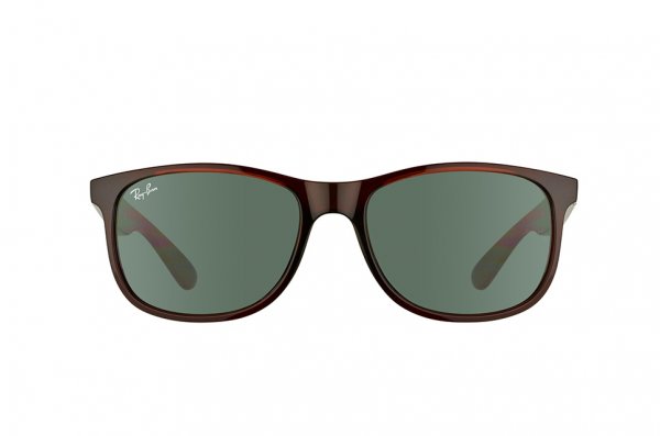   Ray-Ban Andy RB4202-714-71 Dark Brown | Green/Grey
