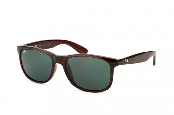   Ray-Ban Andy RB4202-714-71 Dark Brown | Green/Grey