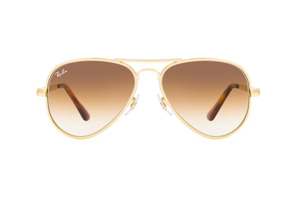������������ ������� Ray-Ban Aviator Max RB3925-001-51 Arista | Light Brown Gradient
