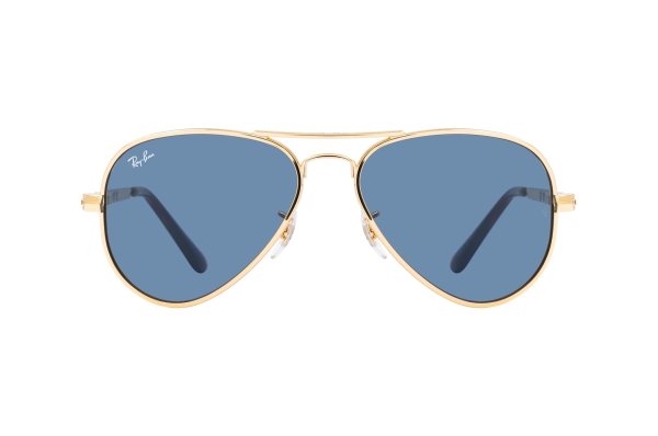 ������������ ������� Ray-Ban Aviator Max RB3925-001-R5 Arista | Dark Blue