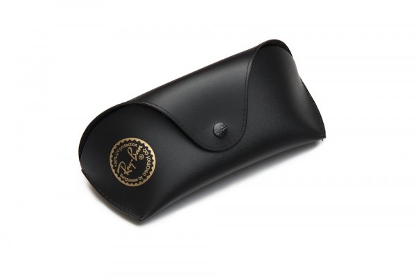    Ray-Ban Cases RBCASE-BIG Black BIG