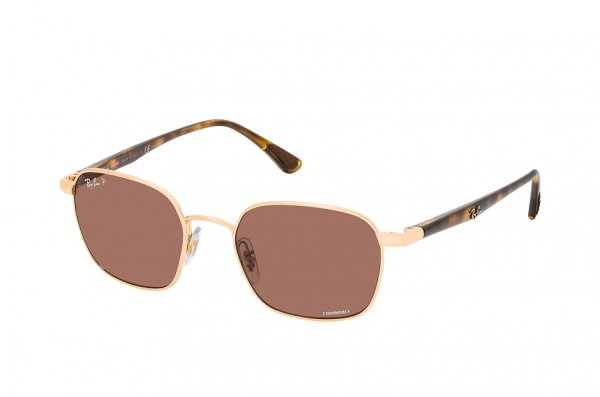   Ray-Ban Chromance RB3664CH-001-BC Arista / Havana | Purple Polarized 
