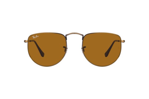   Ray-Ban Elon RB3958-9228-33 Brown | Natural Brown