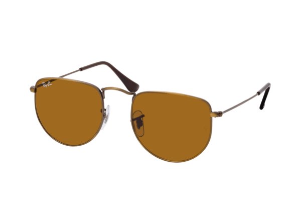   Ray-Ban Elon RB3958-9228-33 Brown | Natural Brown