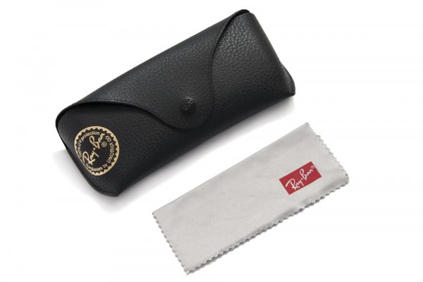   Ray-Ban Emma RB4167-601-8G Black/Poly. Gradient Grey