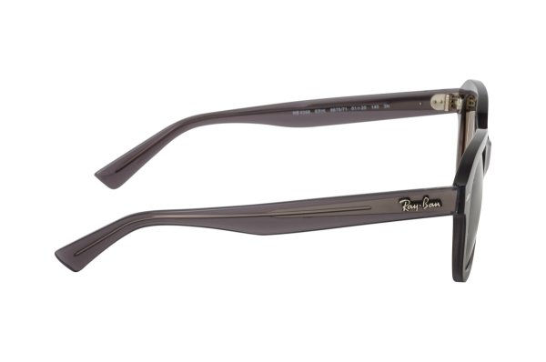   Ray-Ban Erik RB4398-6675-71 Transparent Grey | Gradient Grey
