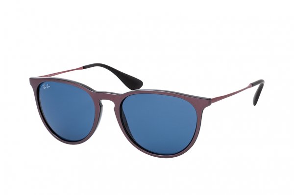   Ray-Ban Erika RB4171-6473-80 Brown | Dark Blue